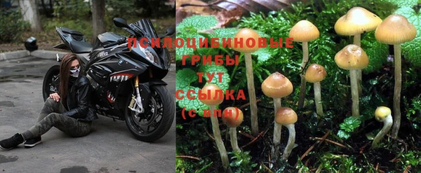ALPHA PVP Волосово